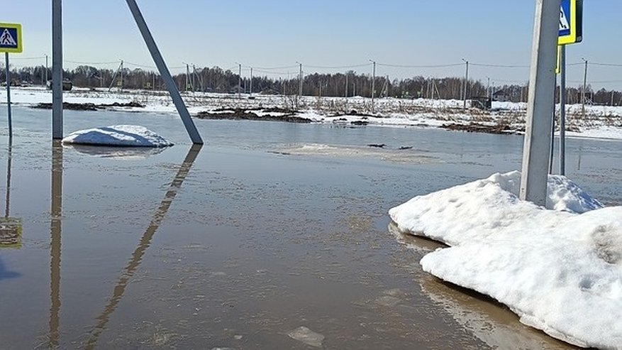 Главная картинка новости: Нижегородцы жалуются на затопленные участки для многодетных семей