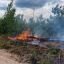 Опубликованы фото пожара в Керженском заповеднике