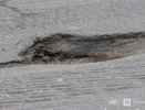 61-е место досталось Нижегородской области за качество дорог в России