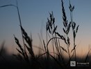 Опубликован прогноз погоды в Нижнем Новгороде на неделю с 19 по 25 мая