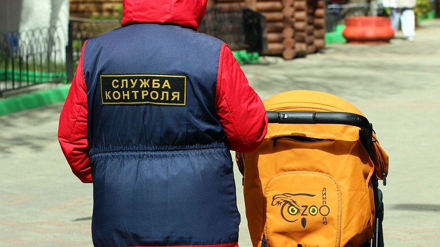 Главная картинка новости: Детские коляски пропадают из нижегородского зоопарка «Лимпопо»