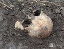Нижегородцы рискуют подхватить сибирскую язву из-за скелетов у реки