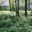 Нижегородцев пугает могила в благоустроенном сквере