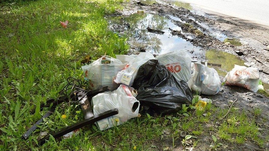 Главная картинка новости: Мэрию оштрафовали на 400 тысяч рублей за свалку в Нижнем Новгороде