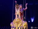 Фоторепортаж: новое шоу Гии Эрадзе в нижегородском цирке