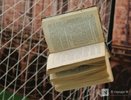 500 тысяч рублей заплатит нижегородский книжный магазин за пропаганду ЛГБТ*