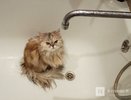 Подачу воды в квартиры снизят из-за работ на улице Культуры