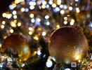 Новогодние мероприятия планируются в нижегородских парках с 28 декабря
