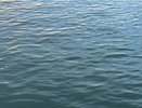 Нижегородский спиртзавод обязали прекратить загрязнение реки Чугунки