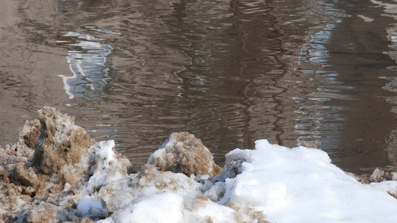 Главная картинка новости: Прокуратура проверит соблюдение прав борчан из-за подтопления
