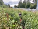 Два человека пострадали в ДТП с питбайком в Нижегородской области