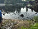 Военный утонул в озере под Нижним Новгородом