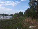 Семь водоемов пригодны для купания в Нижнем Новгороде