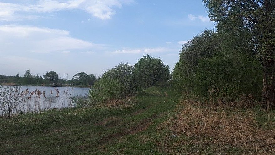 Главная картинка новости: Семь водоемов пригодны для купания в Нижнем Новгороде