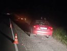 Еще одно жесткое ДТП с лосем случилось в Нижегородской области