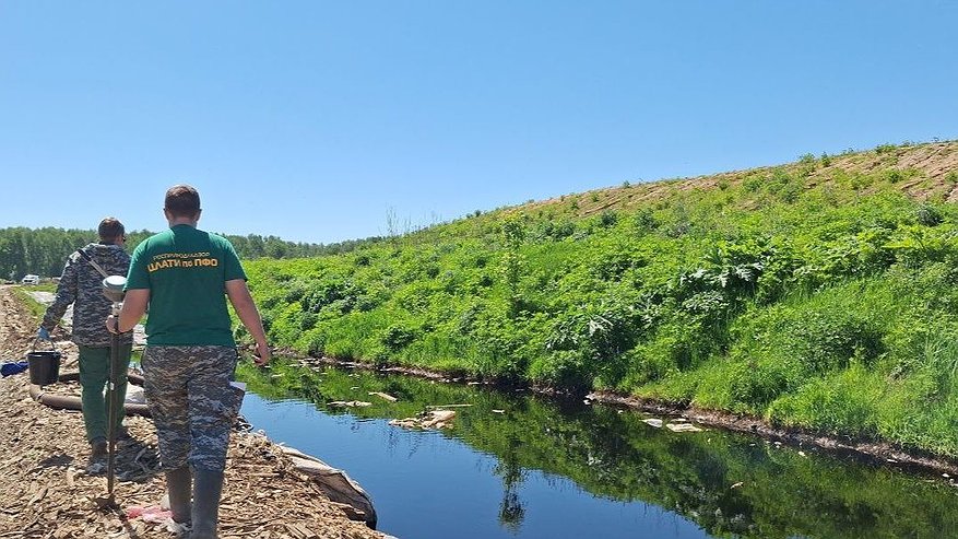 Главная картинка новости: Очередные нарушения нашли на полигонах АО «Ситиматик-Нижний Новгород»