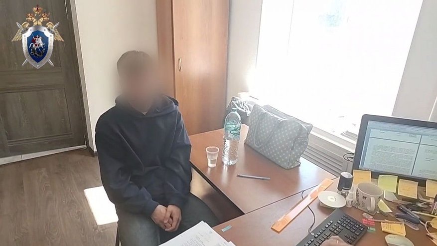 Главная картинка новости: Бывшим нижегородским лицеистам просят смягчить приговор по уголовному делу о фейках
