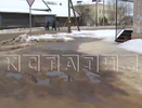 Росприроднадзор заинтересовался навозным потопом в нижегородском селе