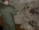 Труп убитого мужчины нашли в подвале дома в Нижнем Новгороде