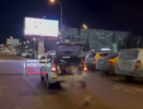 Жестоко избившая собаку нижегородка сбила зоозащитницу на машине
