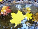 Как согреться в холодную погоду, рассказали нижегородцам