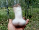 Очень пошлый гриб обнаружен в Нижегородской области