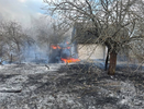 Шесть садовых домиков сгорели в Арзамасе из-за поджога