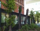 Эколог заявил об уничтожении сквера в центре Нижнего Новгорода