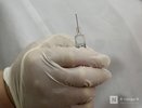 Долгожданные детские вакцины привезли в Нижний Новгород