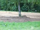 Нижегородец сравнил секс на газоне и поручень в автобусе
