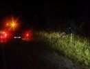 Два человека пострадали в ДТП с лосем в Нижегородской области