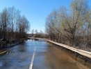Мост затопило в Павловском округе