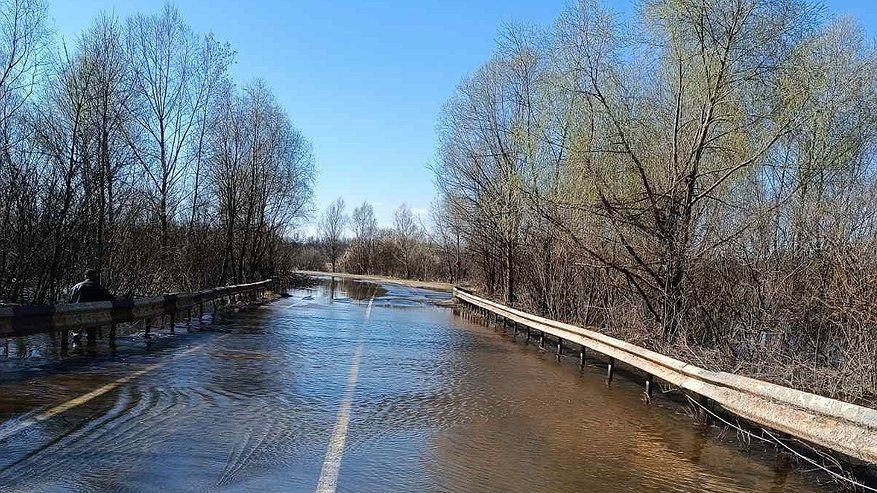 Главная картинка новости: Мост затопило в Павловском округе