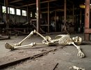 Человеческий скелет обнаружили на промбазе в Татарстане