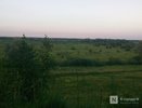 Артемовские луга могут сделать национальным парком