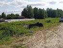 Два автомобиля перевернулись на трассе в Нижегородской области