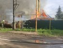 Более 15 собак погибли во время пожара в Нижнем Новгороде