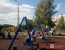 Полиция заинтересовалась нижегородкой с собаками на детской площадке