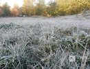 Заморозки до -2°С ожидаются в Нижегородской области
