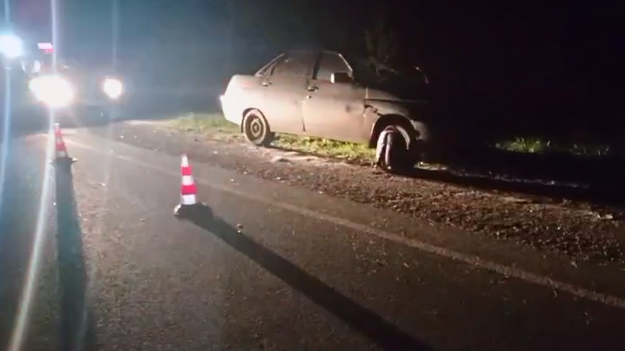 Главная картинка новости: Жесткое ДТП с лосем случилось в Нижегородской области