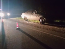 Жесткое ДТП с лосем случилось в Нижегородской области