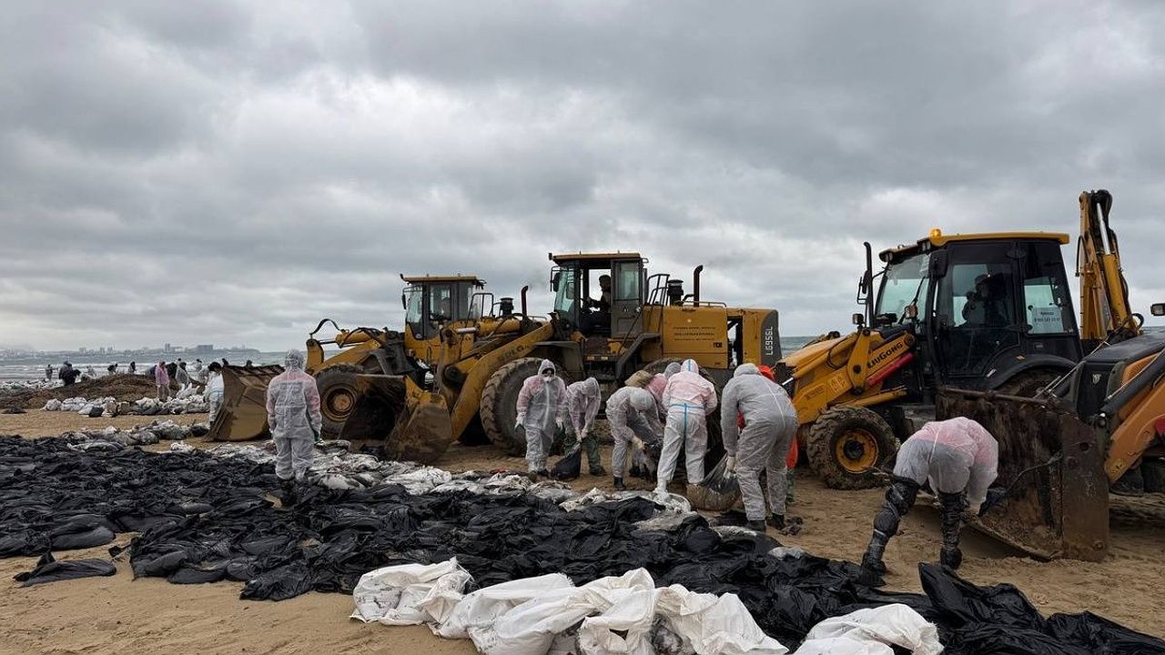 Главная картинка новости: Еще две бригады волонтеров отправят из Нижегородской области в Анапу