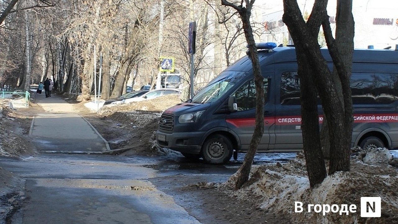 Главная картинка новости: Нижегородку осудят за покушение на убийство младенца