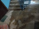 Нижегородец пожаловался на ужасное состояние подъезда в доме с кинотеатром