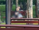 Парень и девушка прилюдно занялись сексом в нижегородском парке