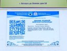 Минздрав ответил на жалобы жителей Ветлужского округа на закрытие ЦРБ