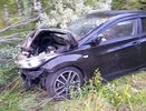 Два человека пострадали в ДТП из-за лося в Нижегородской области