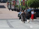Гройсман раскритиковал новые правила для нижегородских владельцев животных