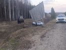 Женщина и ребенок пострадали в ДТП в Нижегородской области