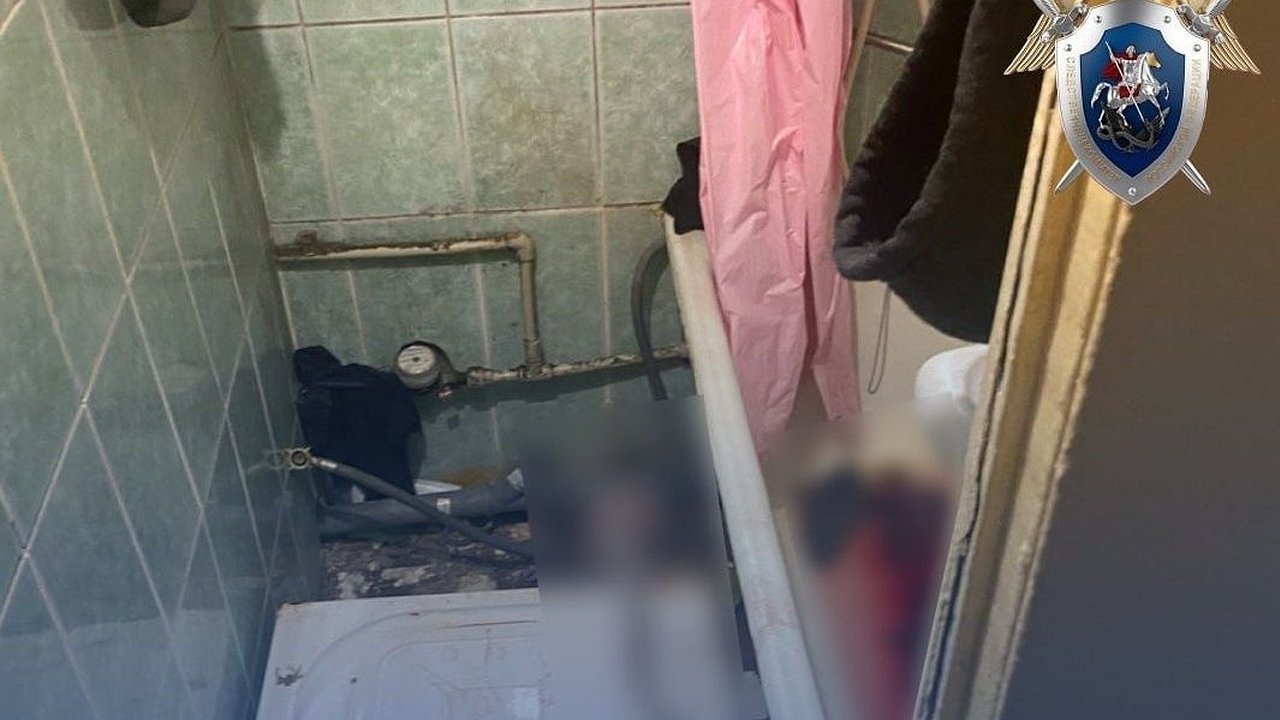 Главная картинка новости: Иностранку будут судить за убийство новорожденной дочки в Кстове